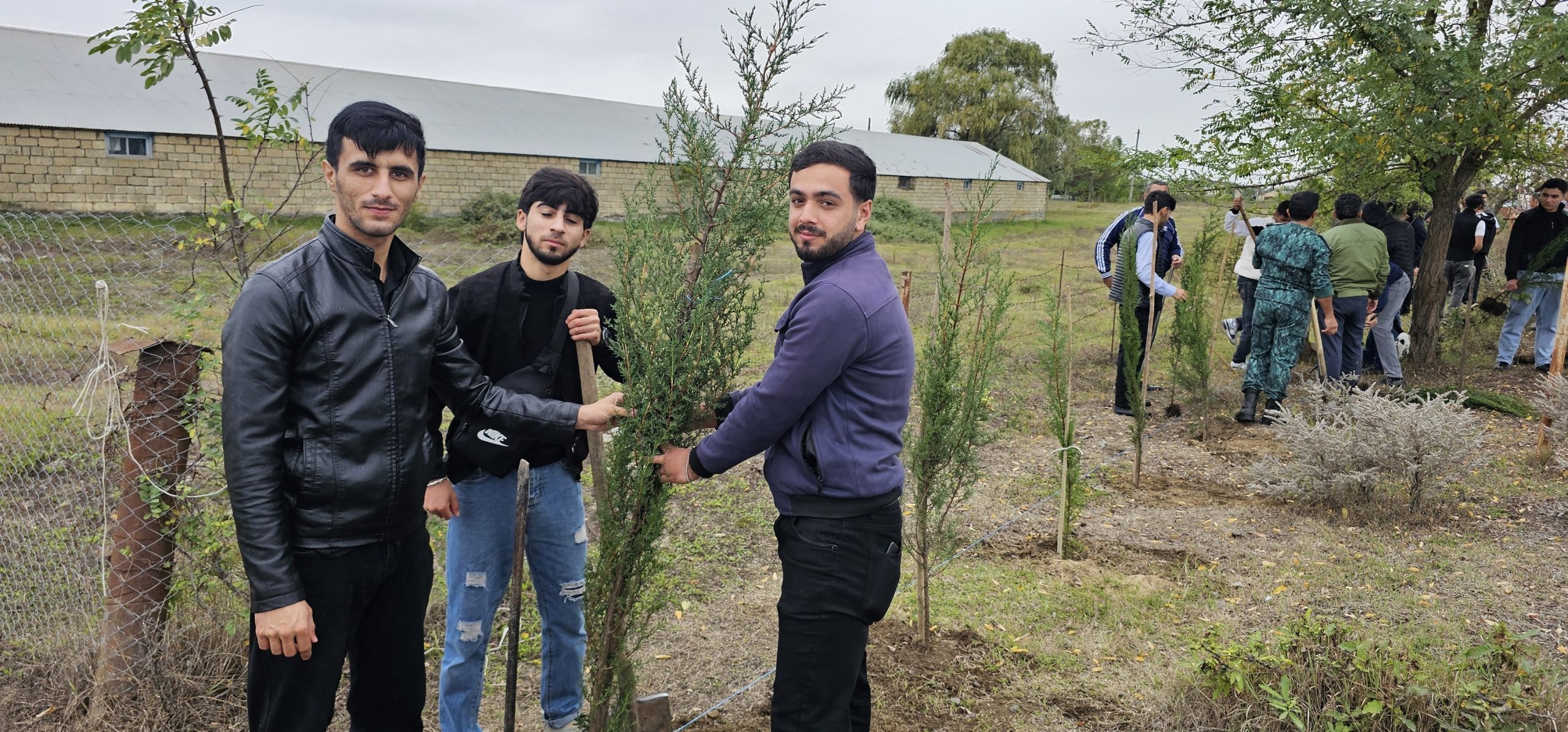 “Yaşıl dünya naminə həmrəylik ili” çərçivəsində ağacəkmə aksiyası