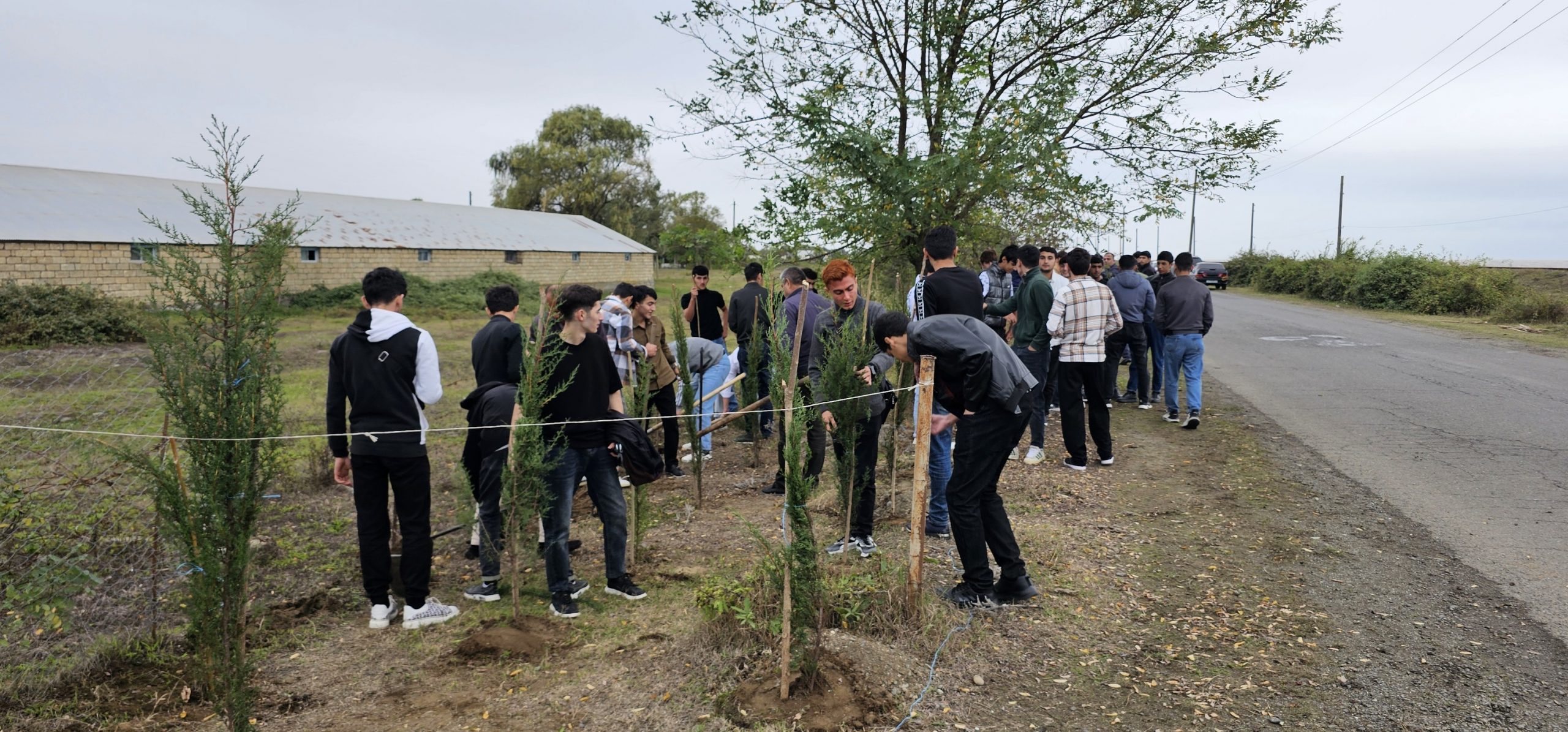 “Yaşıl dünya naminə həmrəylik ili” çərçivəsində ağacəkmə aksiyası