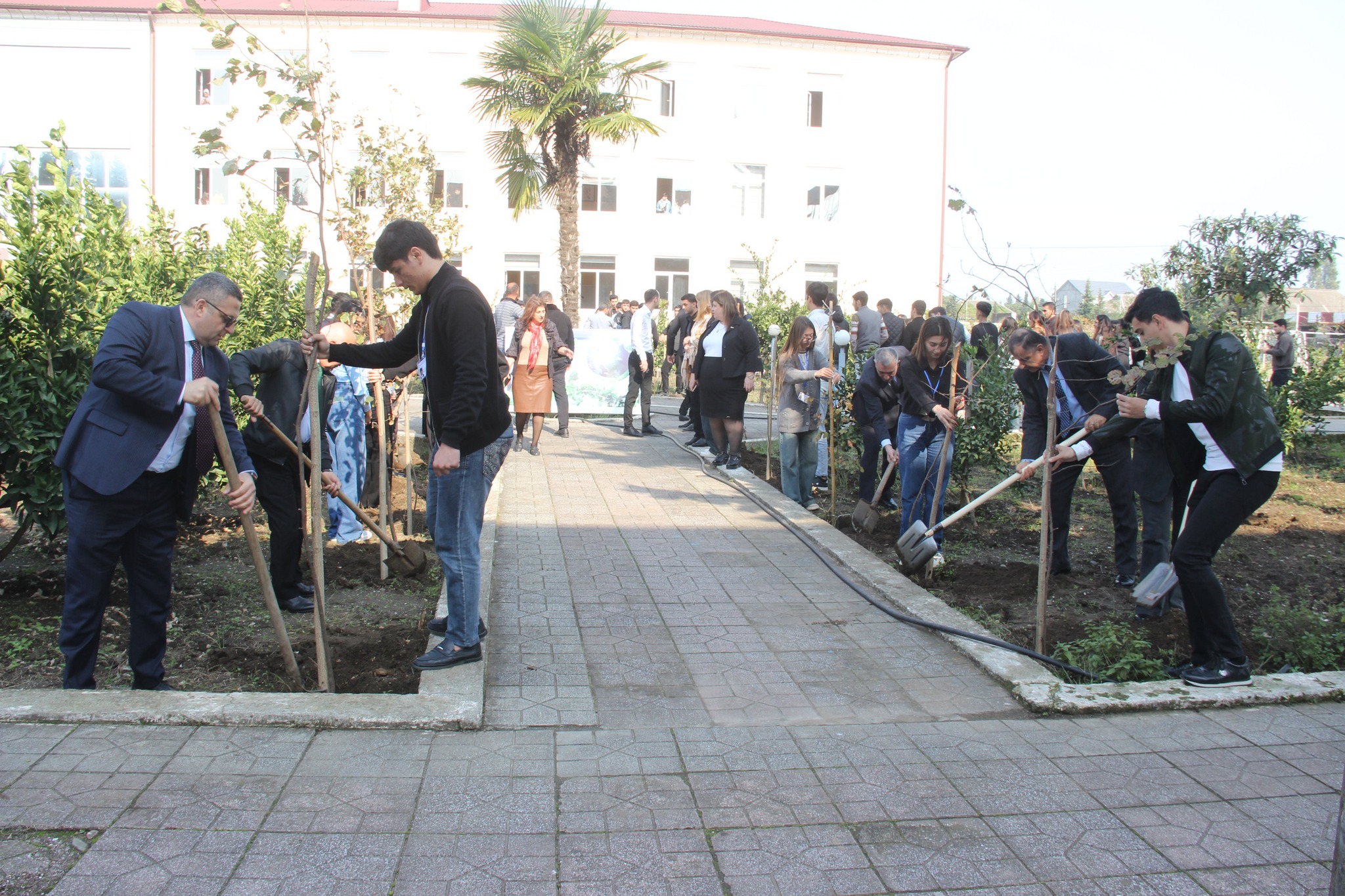 Astara Pedaqoji Kollecinin ərazisində ağacəkmə aksiyası