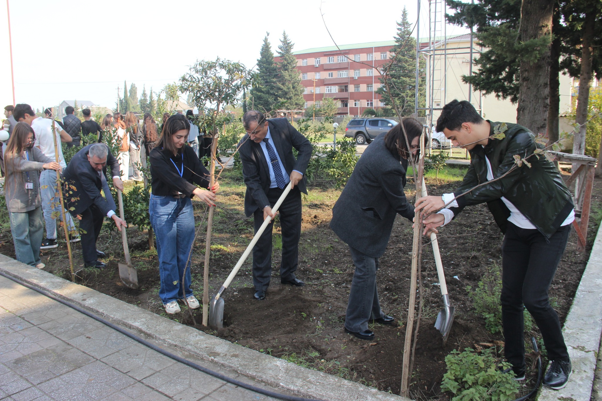 Astara Pedaqoji Kollecinin ərazisində ağacəkmə aksiyası