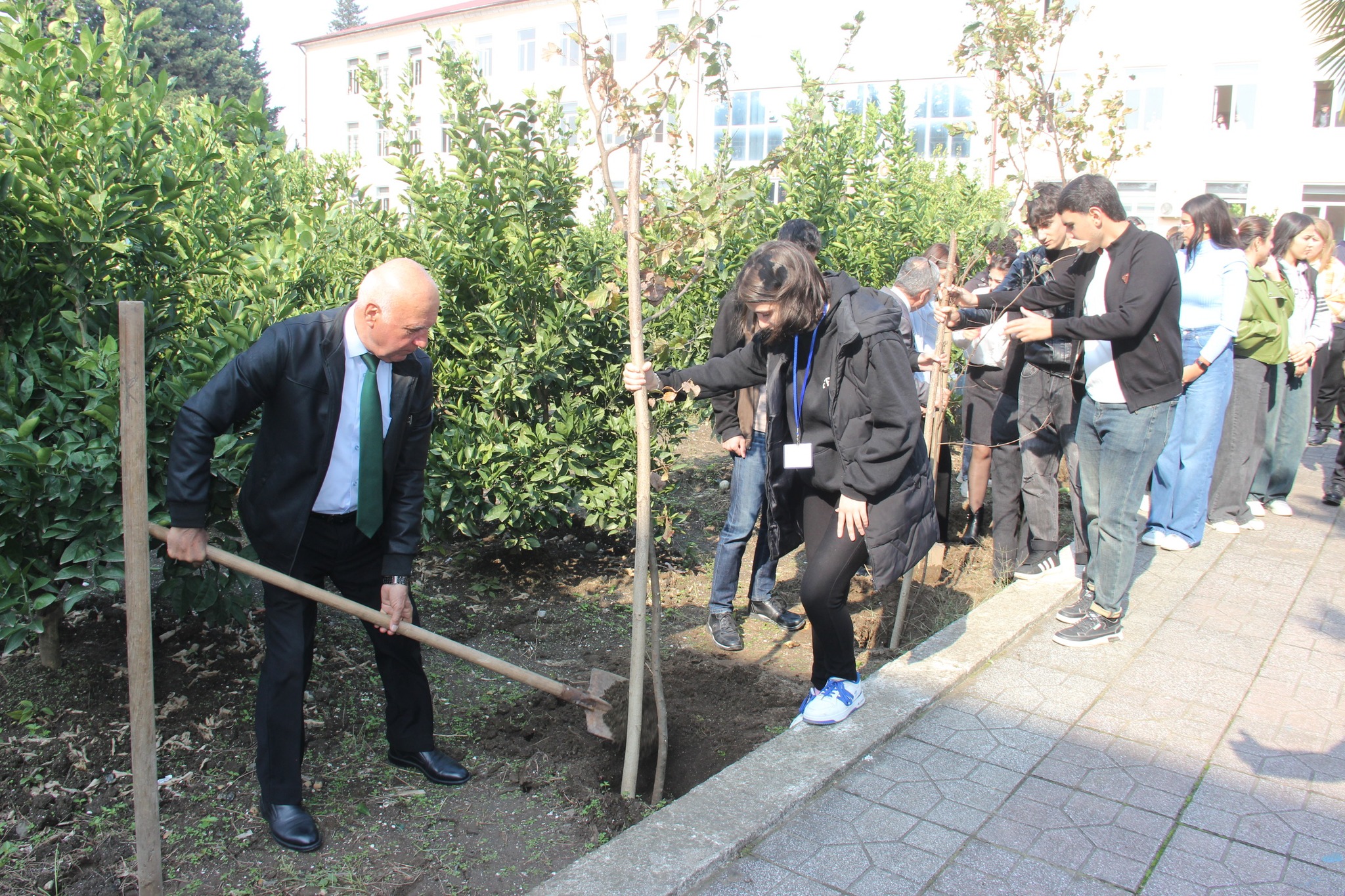 Astara Pedaqoji Kollecinin ərazisində ağacəkmə aksiyası