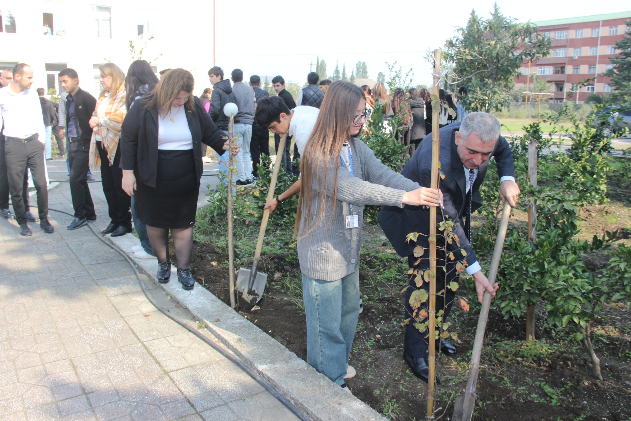 Astara Pedaqoji Kollecinin ərazisində ağacəkmə aksiyası