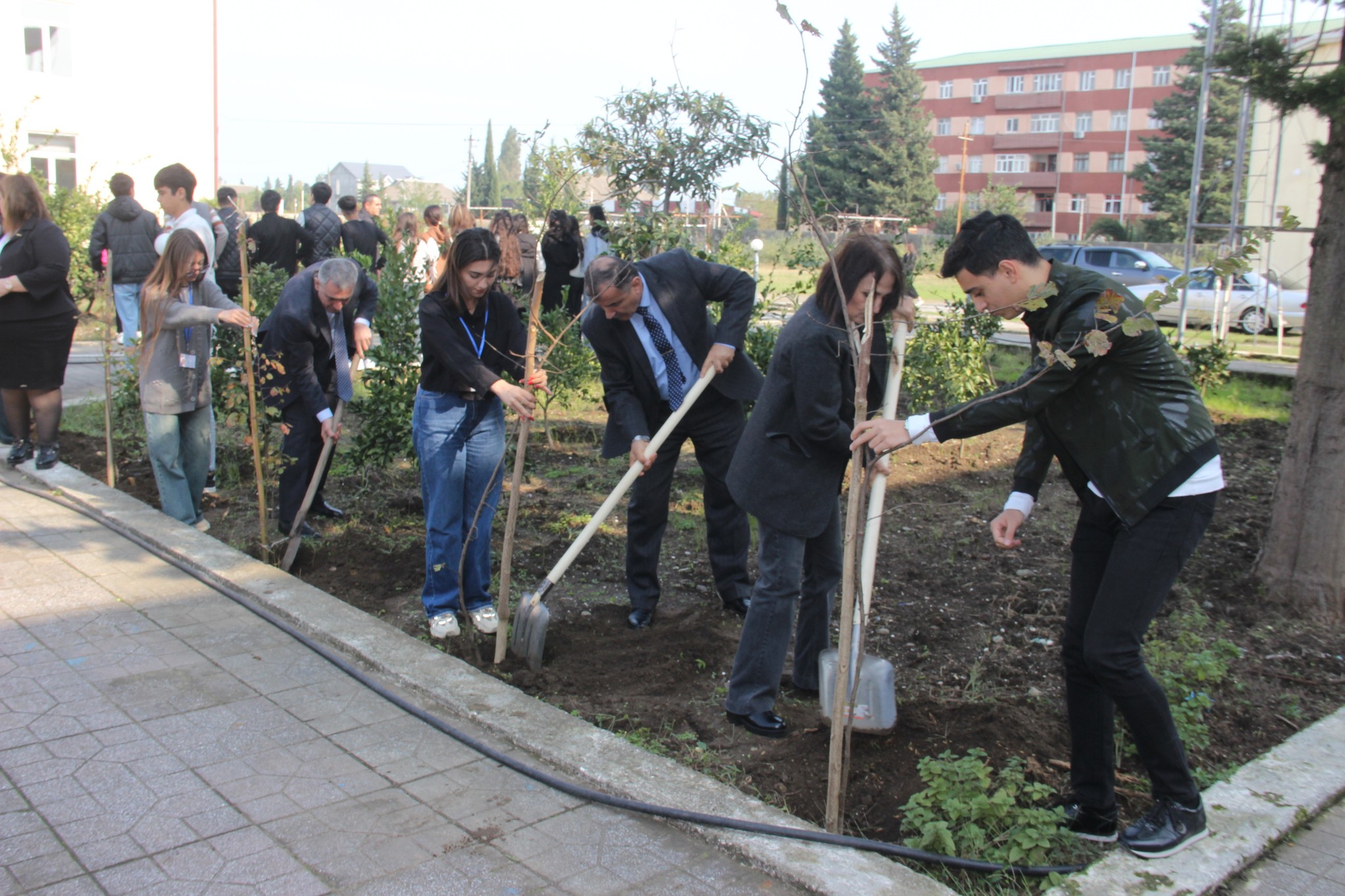 Astara Pedaqoji Kollecinin ərazisində ağacəkmə aksiyası