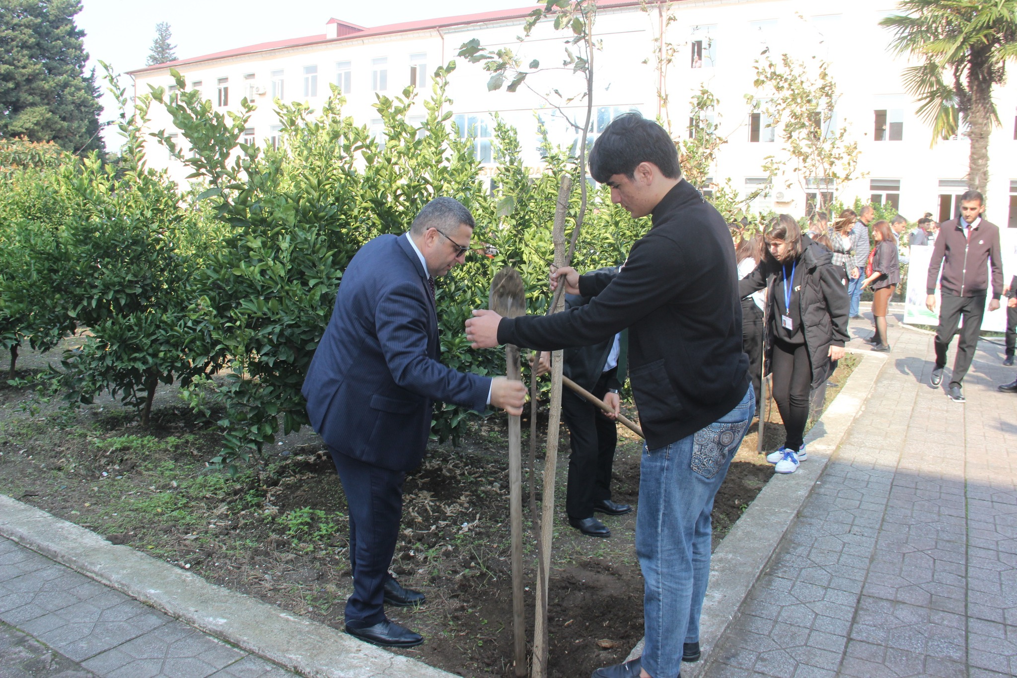 Astara Pedaqoji Kollecinin ərazisində ağacəkmə aksiyası