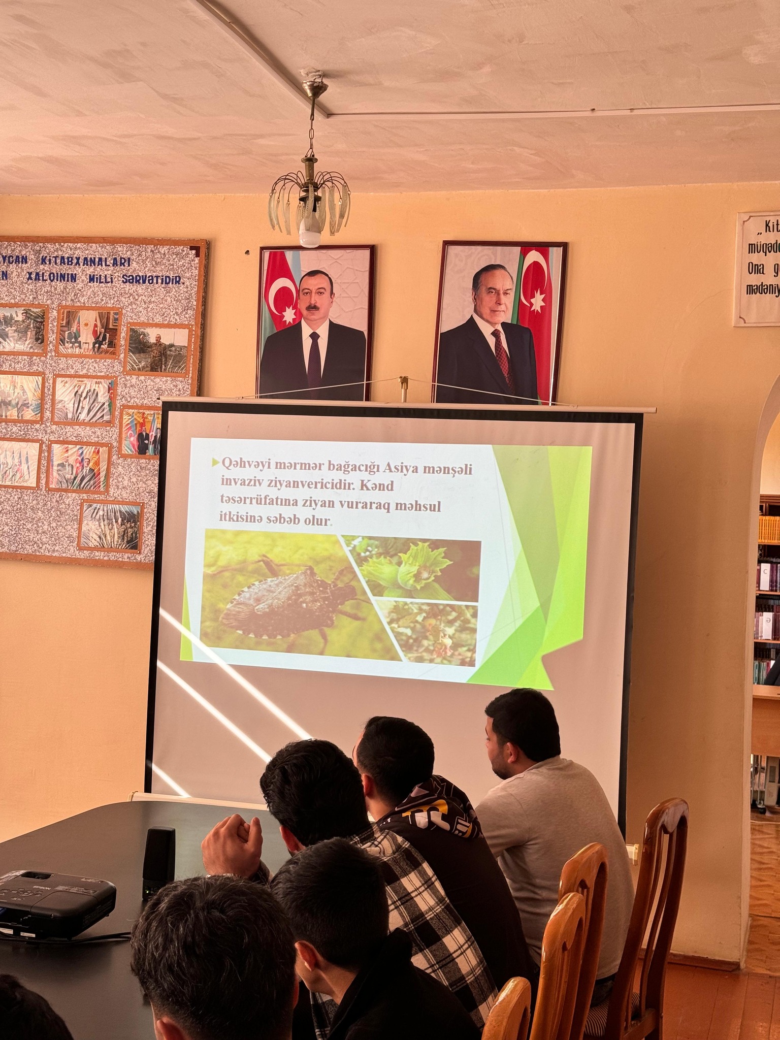 “Qəhvəyi mərmər bağacığı” mövzusunda tədbir