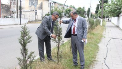 Astarada "Ümumdünya Ətraf Mühit Günü"nə həsr olunan yaşıllaşdırma aksiyası keçirilib!