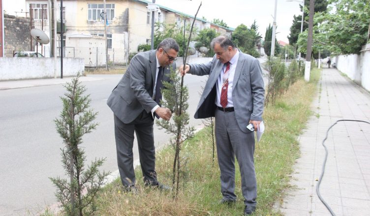 Astarada "Ümumdünya Ətraf Mühit Günü"nə həsr olunan yaşıllaşdırma aksiyası keçirilib!