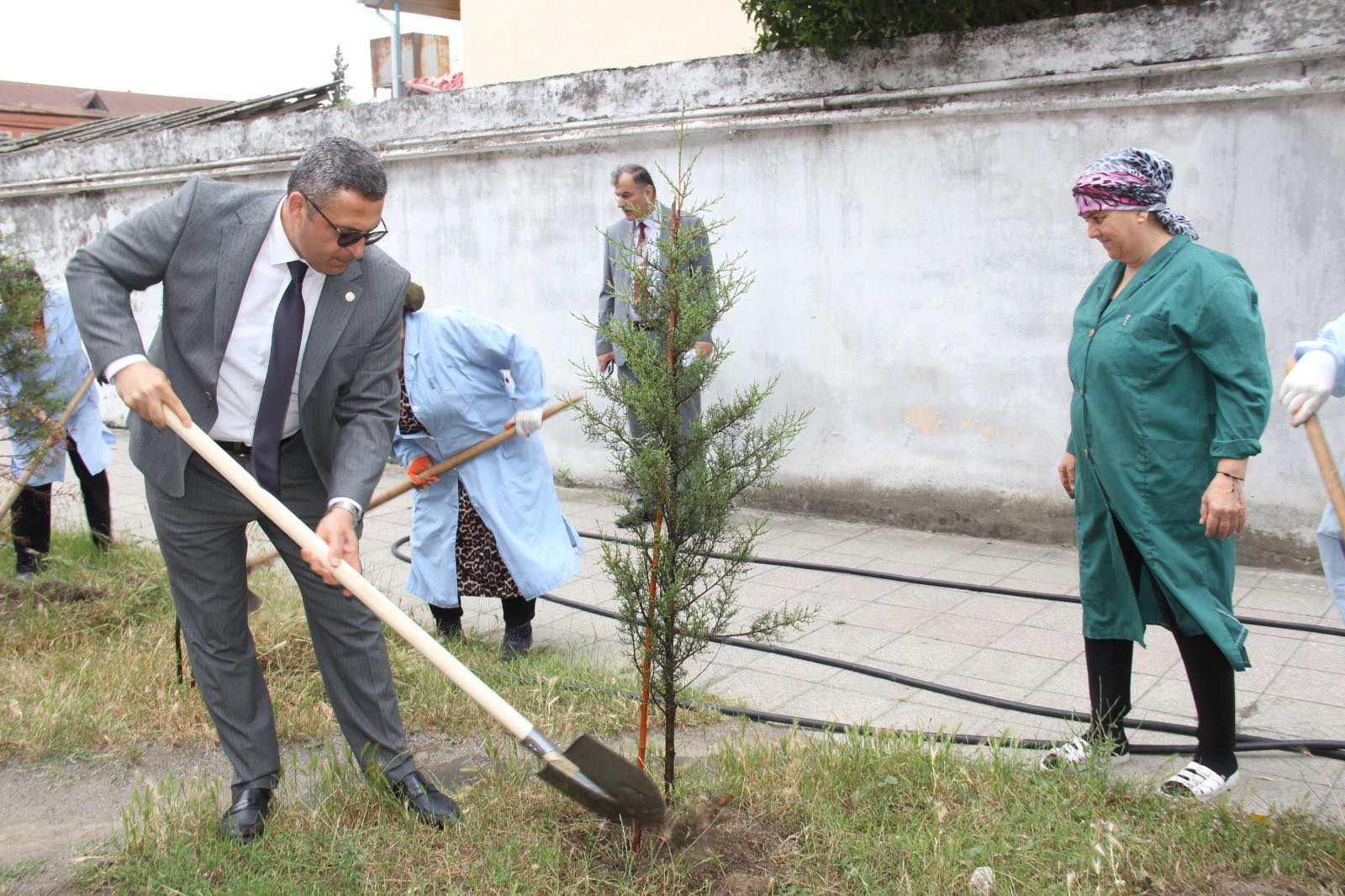 Astarada "Ümumdünya Ətraf Mühit Günü"nə həsr olunan yaşıllaşdırma aksiyası keçirilib!