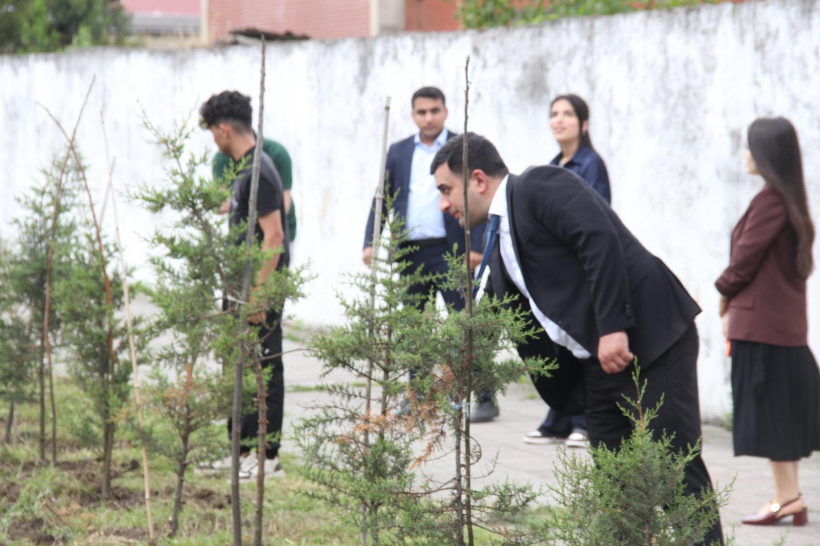 Astarada "Ümumdünya Ətraf Mühit Günü"nə həsr olunan yaşıllaşdırma aksiyası keçirilib!