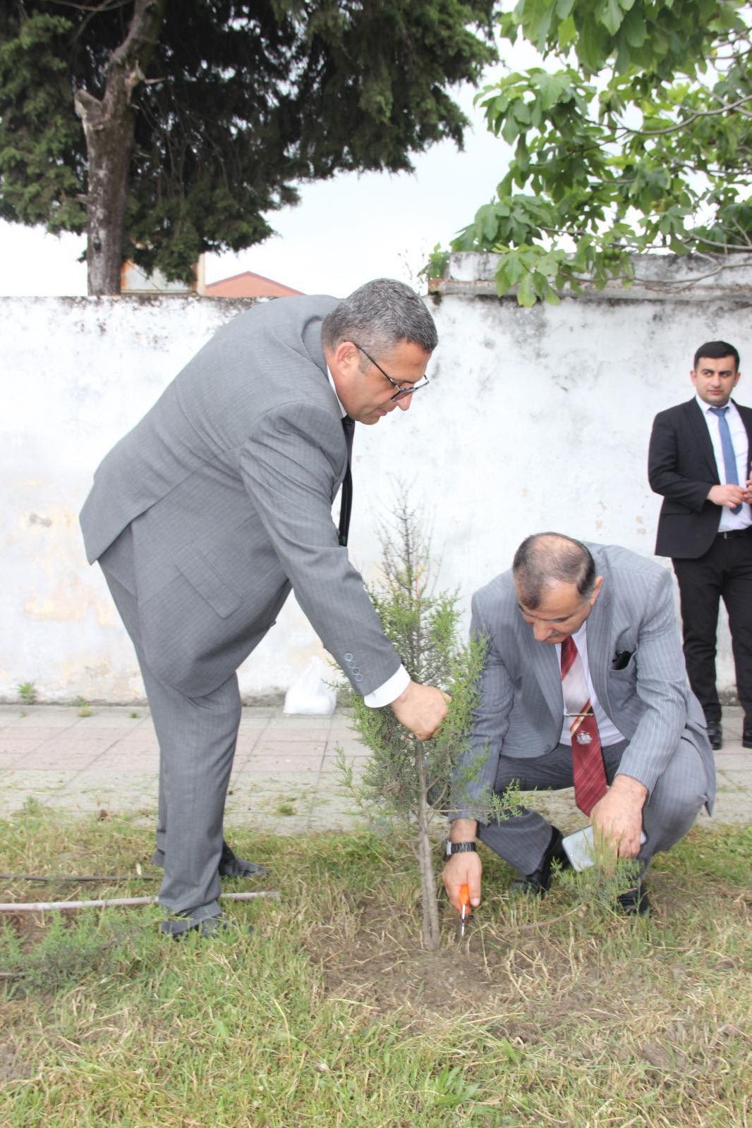 Astarada "Ümumdünya Ətraf Mühit Günü"nə həsr olunan yaşıllaşdırma aksiyası keçirilib!