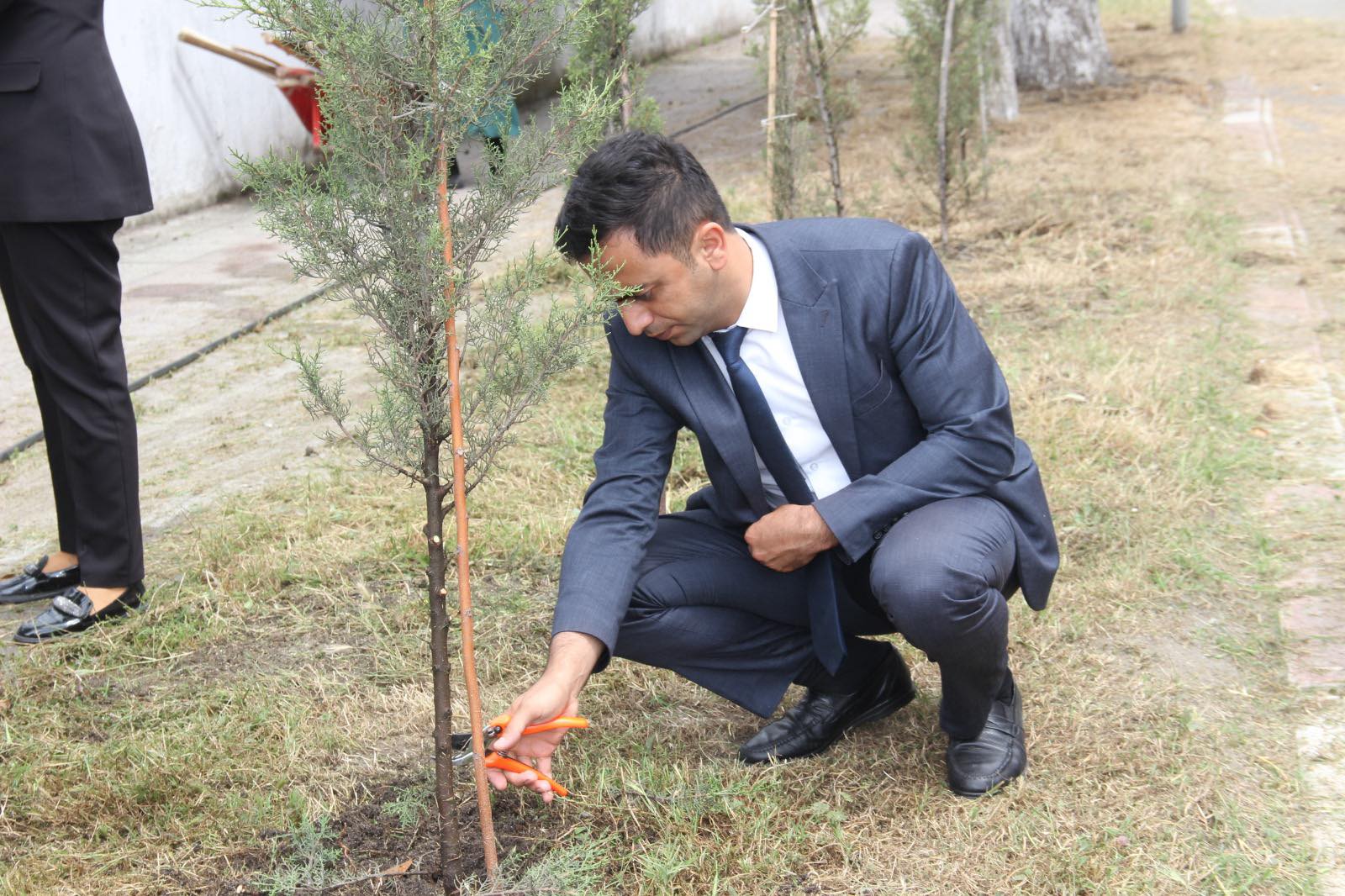 Astarada "Ümumdünya Ətraf Mühit Günü"nə həsr olunan yaşıllaşdırma aksiyası keçirilib!